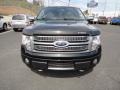 2010 Tuxedo Black Ford F150 Platinum SuperCrew 4x4  photo #6