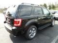 Ebony Black - Escape XLT Photo No. 2