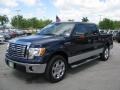 2010 Dark Blue Pearl Metallic Ford F150 XLT SuperCrew  photo #14