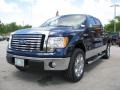 2010 Dark Blue Pearl Metallic Ford F150 XLT SuperCrew  photo #15