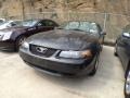 2002 Black Ford Mustang V6 Coupe  photo #1