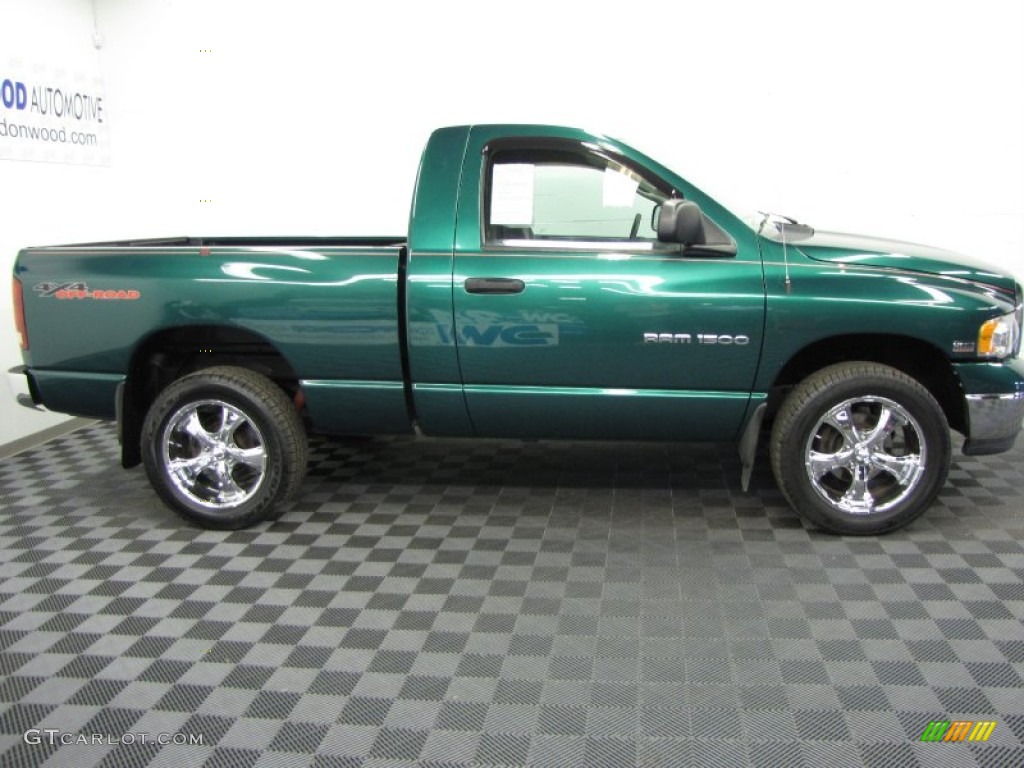 2004 Ram 1500 ST Regular Cab 4x4 - Timberline Green Pearl Coat / Dark Slate Gray photo #5