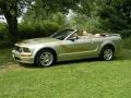 2006 Legend Lime Metallic Ford Mustang GT Premium Convertible  photo #4