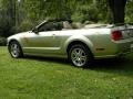 2006 Legend Lime Metallic Ford Mustang GT Premium Convertible  photo #6