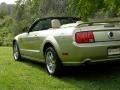 2006 Legend Lime Metallic Ford Mustang GT Premium Convertible  photo #7