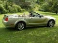 2006 Legend Lime Metallic Ford Mustang GT Premium Convertible  photo #13