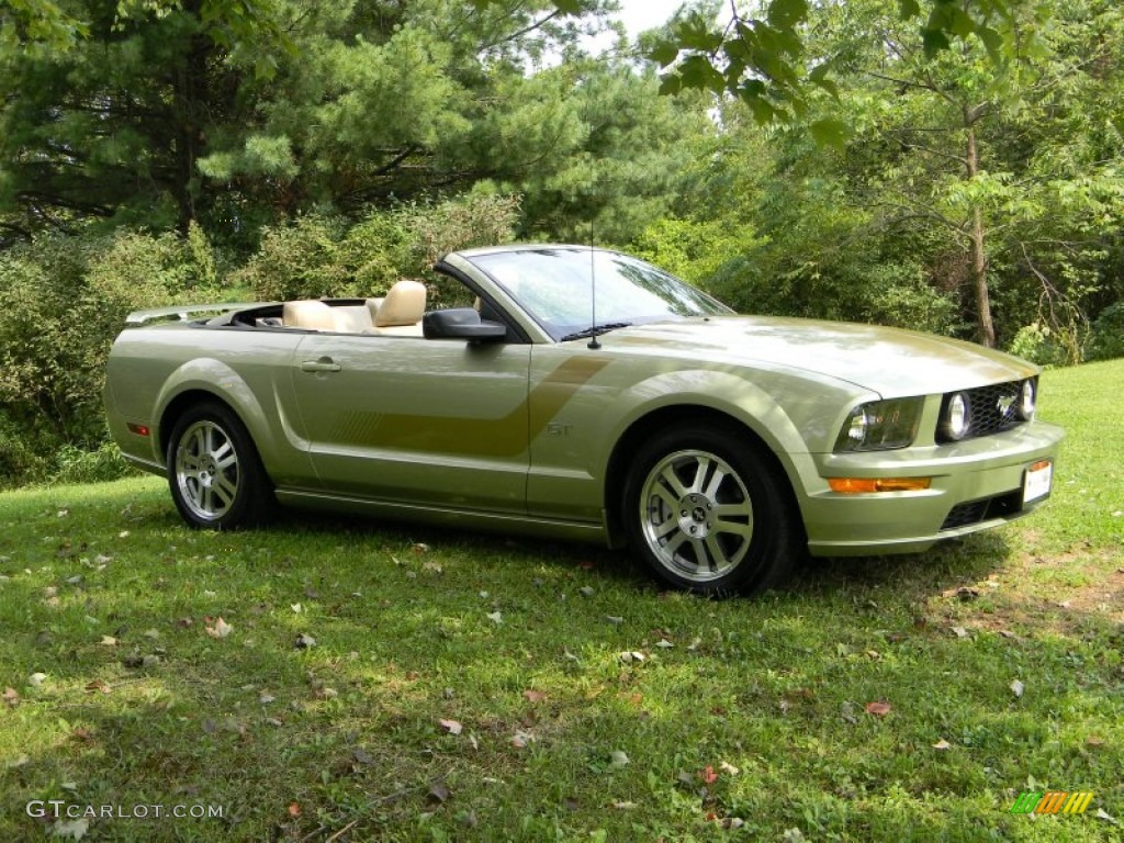 2006 Mustang GT Premium Convertible - Legend Lime Metallic / Light Parchment photo #14