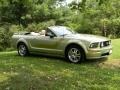2006 Legend Lime Metallic Ford Mustang GT Premium Convertible  photo #14