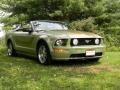 2006 Legend Lime Metallic Ford Mustang GT Premium Convertible  photo #15