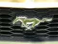 2006 Legend Lime Metallic Ford Mustang GT Premium Convertible  photo #17