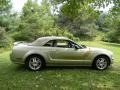 2006 Legend Lime Metallic Ford Mustang GT Premium Convertible  photo #48