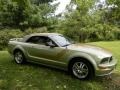 2006 Legend Lime Metallic Ford Mustang GT Premium Convertible  photo #49