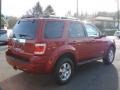 2008 Redfire Metallic Ford Escape Limited  photo #6