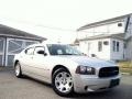 Bright Silver Metallic - Charger SE Photo No. 1