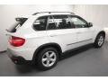 Alpine White - X5 xDrive30i Photo No. 13