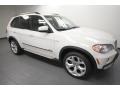 2009 Alpine White BMW X5 xDrive48i  photo #8