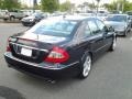 2009 Capri Blue Metallic Mercedes-Benz E 350 Sedan  photo #15