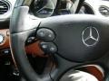 Cognac Brown Controls Photo for 2007 Mercedes-Benz SL #62788065