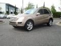 2008 Sand Beige Metallic Mercedes-Benz ML 350 4Matic  photo #1