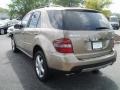 Sand Beige Metallic - ML 350 4Matic Photo No. 9
