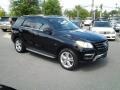 Black - ML 350 4Matic Photo No. 1