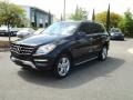 Black - ML 350 4Matic Photo No. 3