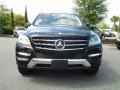 Black - ML 350 4Matic Photo No. 5