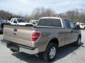 Pale Adobe Metallic - F150 XLT SuperCab Photo No. 8