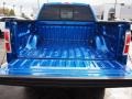 2010 Blue Flame Metallic Ford F150 XLT SuperCrew 4x4  photo #5