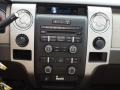 2010 Blue Flame Metallic Ford F150 XLT SuperCrew 4x4  photo #12
