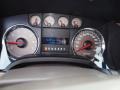 2010 Blue Flame Metallic Ford F150 XLT SuperCrew 4x4  photo #16
