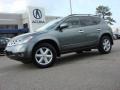 Platinum Metallic - Murano SE AWD Photo No. 2