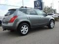 Platinum Metallic - Murano SE AWD Photo No. 6