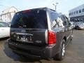 Silver Graphite Gray - QX 56 4WD Photo No. 3
