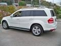 Arctic White - GL 450 4Matic Photo No. 4