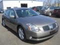 Spirited Bronze Pearl - Maxima 3.5 SE Photo No. 16