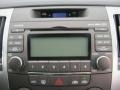 2009 Hyundai Sonata SE Audio System