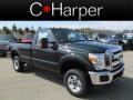 Green Gem Metallic - F250 Super Duty XLT Regular Cab 4x4 Photo No. 1