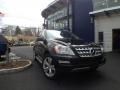 Black - ML 350 4Matic Photo No. 1