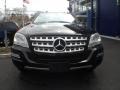 Black - ML 350 4Matic Photo No. 3