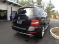 Black - ML 350 4Matic Photo No. 5