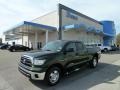 Spruce Green Mica 2010 Toyota Tundra SR5 Double Cab 4x4