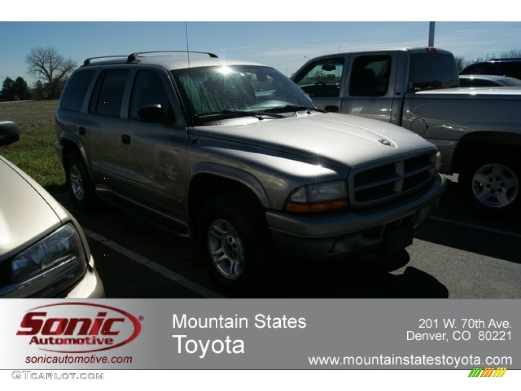 2001 Durango SLT 4x4 - Bright Platinum Metallic / Dark Slate Gray photo #1