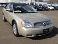 Light French Silk Metallic - Montego Premier AWD Photo No. 4