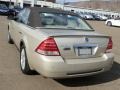 Light French Silk Metallic - Montego Premier AWD Photo No. 7