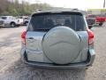 Everglade Metallic - RAV4 4WD Photo No. 6