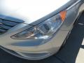 Radiant Silver - Sonata SE 2.0T Photo No. 9