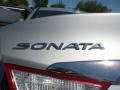 Radiant Silver - Sonata SE 2.0T Photo No. 15