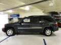 Carbon Metallic - Envoy XL SLE 4x4 Photo No. 12