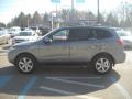 Platinum Sage - Santa Fe Limited 4WD Photo No. 6